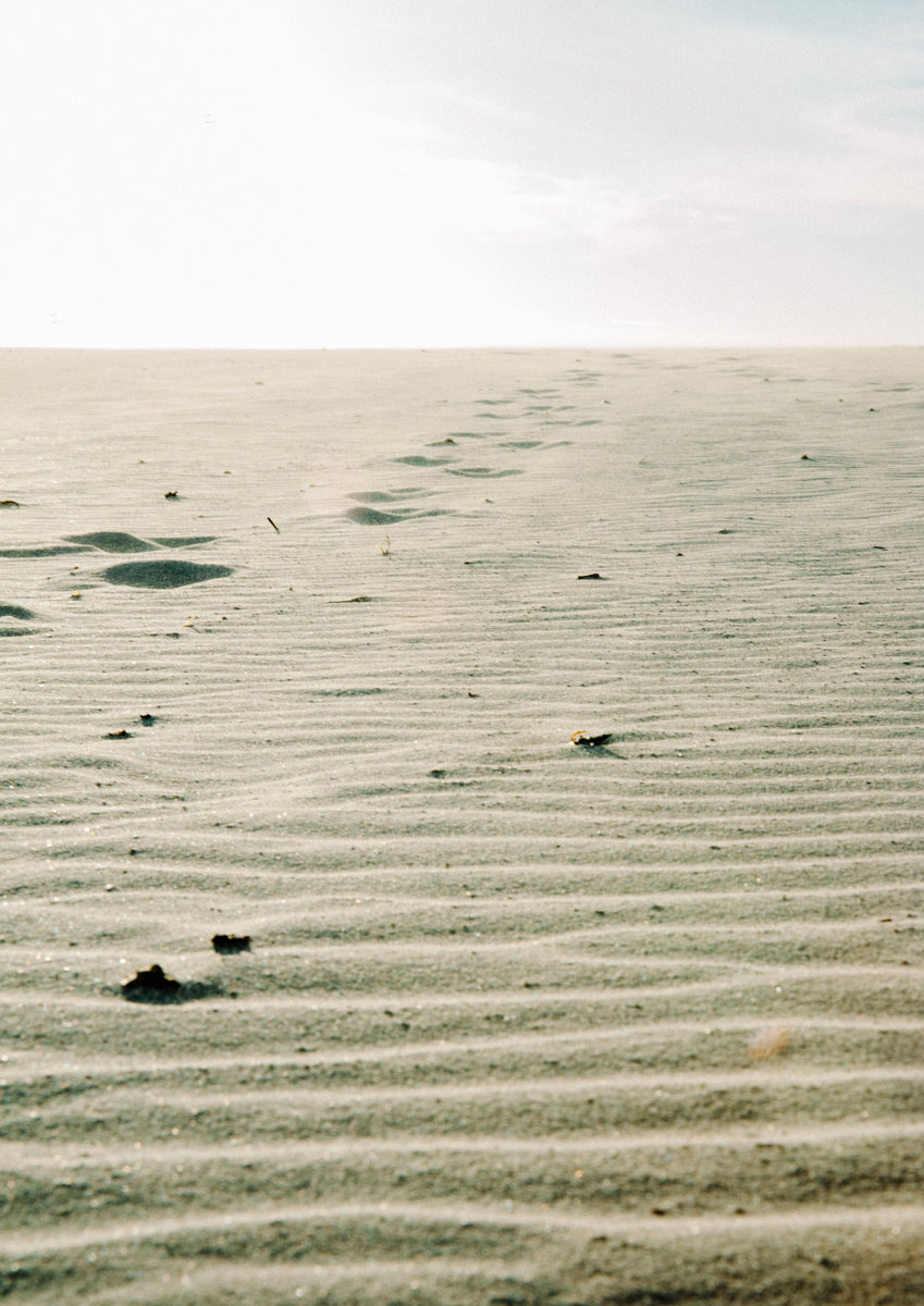 Quadro Sand Paths