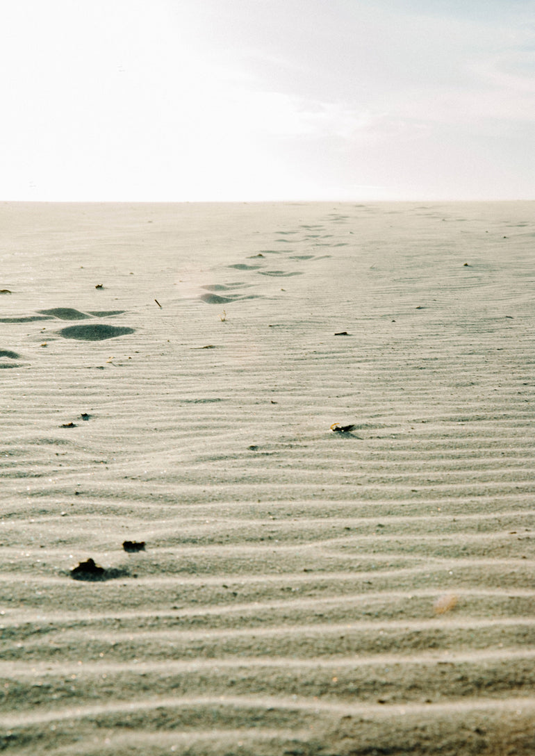 Quadro Sand Paths