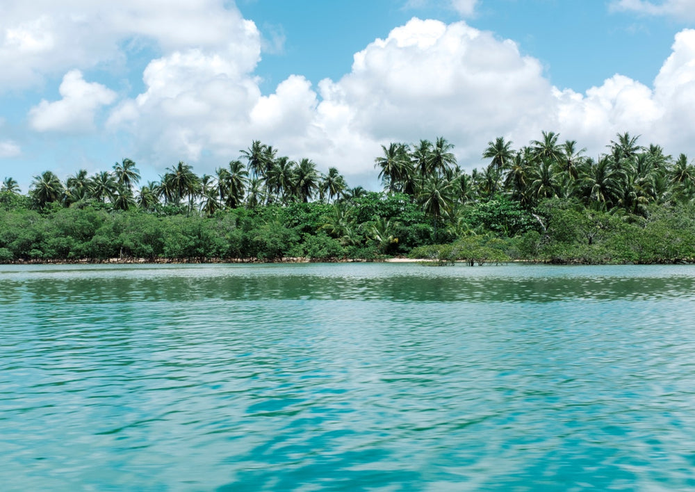 Quadro Sea and Trees