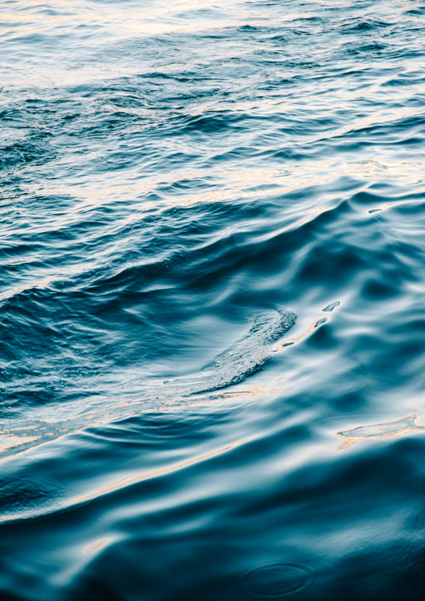 Quadro Sea Dance 1