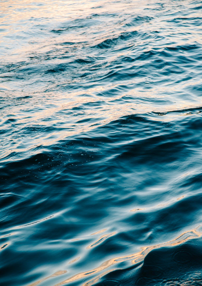 Quadro Sea Dance 2