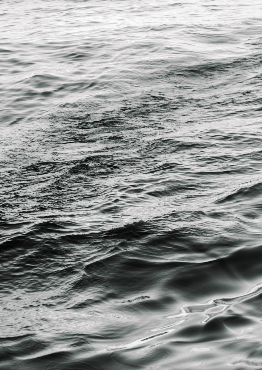 Quadro Sea Dance Bw