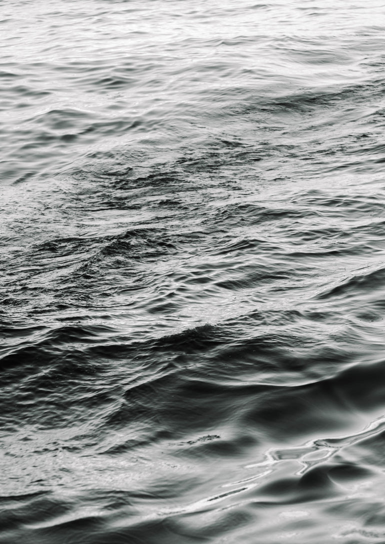 Quadro Sea Dance Bw
