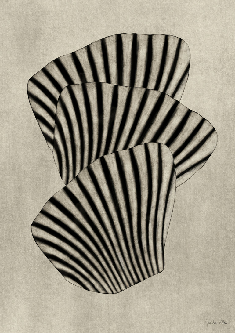 Quadro Sea Shells 01