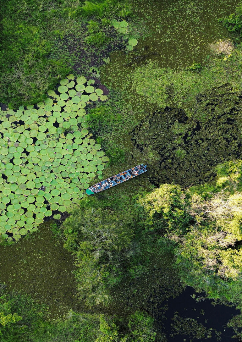 Quadro Segredos da Amazonia