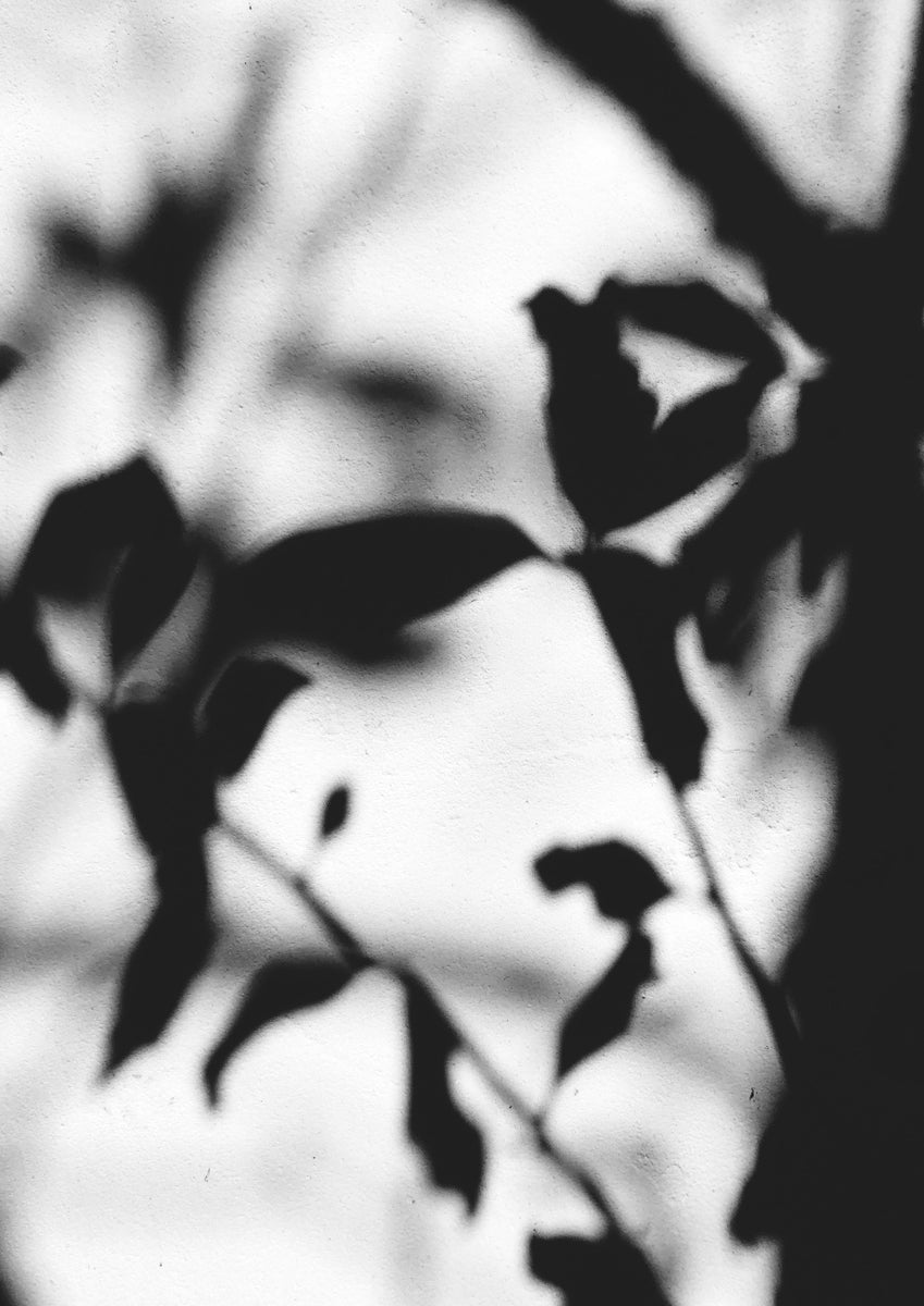 Quadro Shadow Flowers
