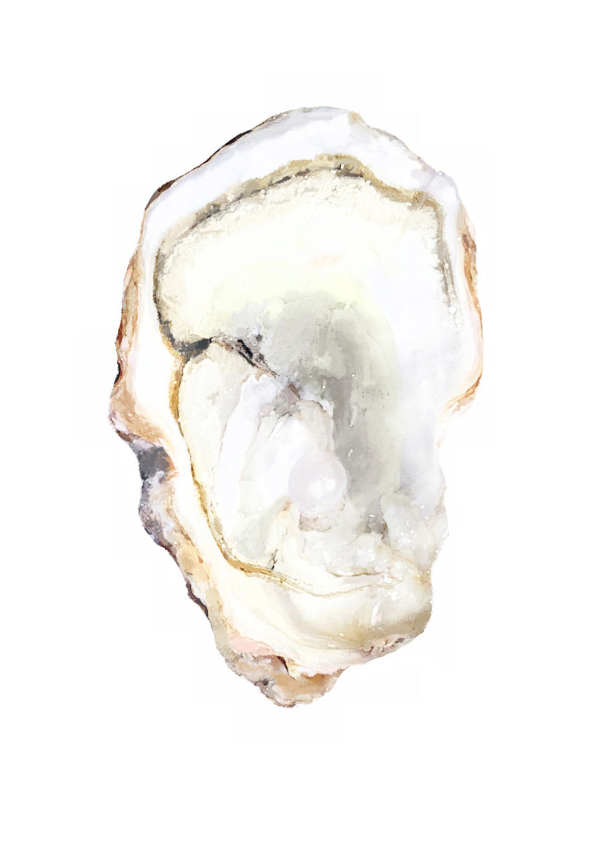 Quadro Shell no. 1