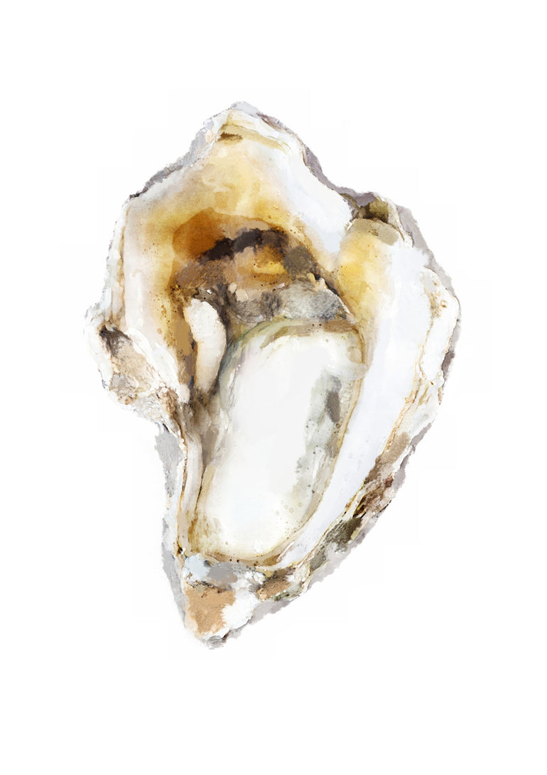Quadro Shell no. 2