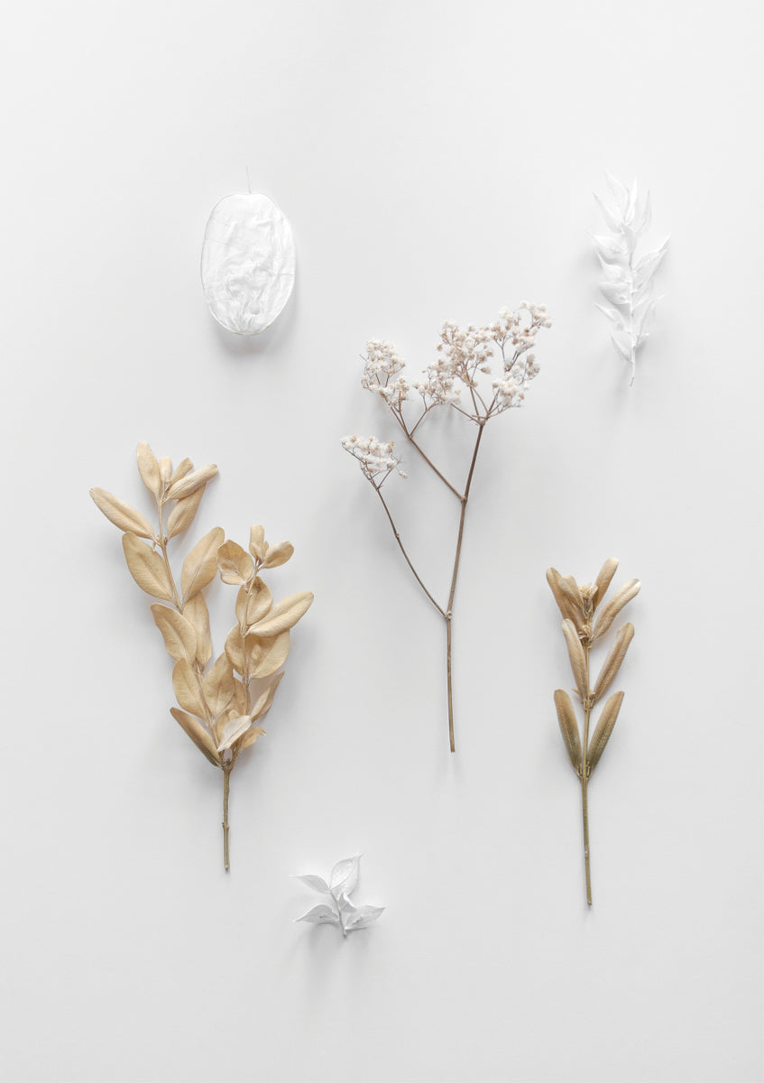 Quadro Stones Branches 3