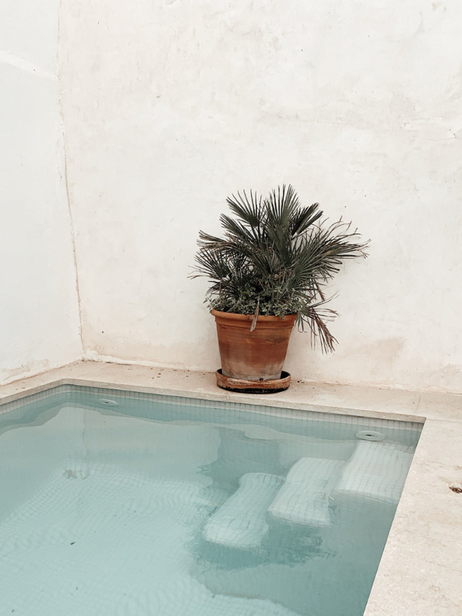 Quadro Summer End
