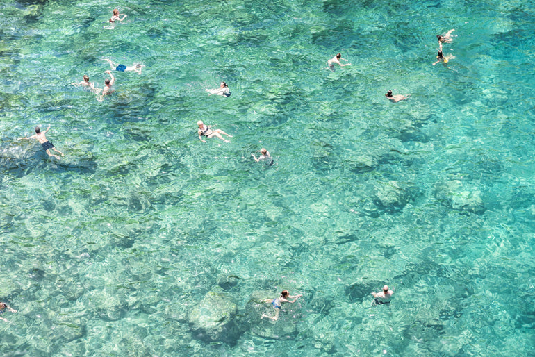 Quadro Swimming In The Sea