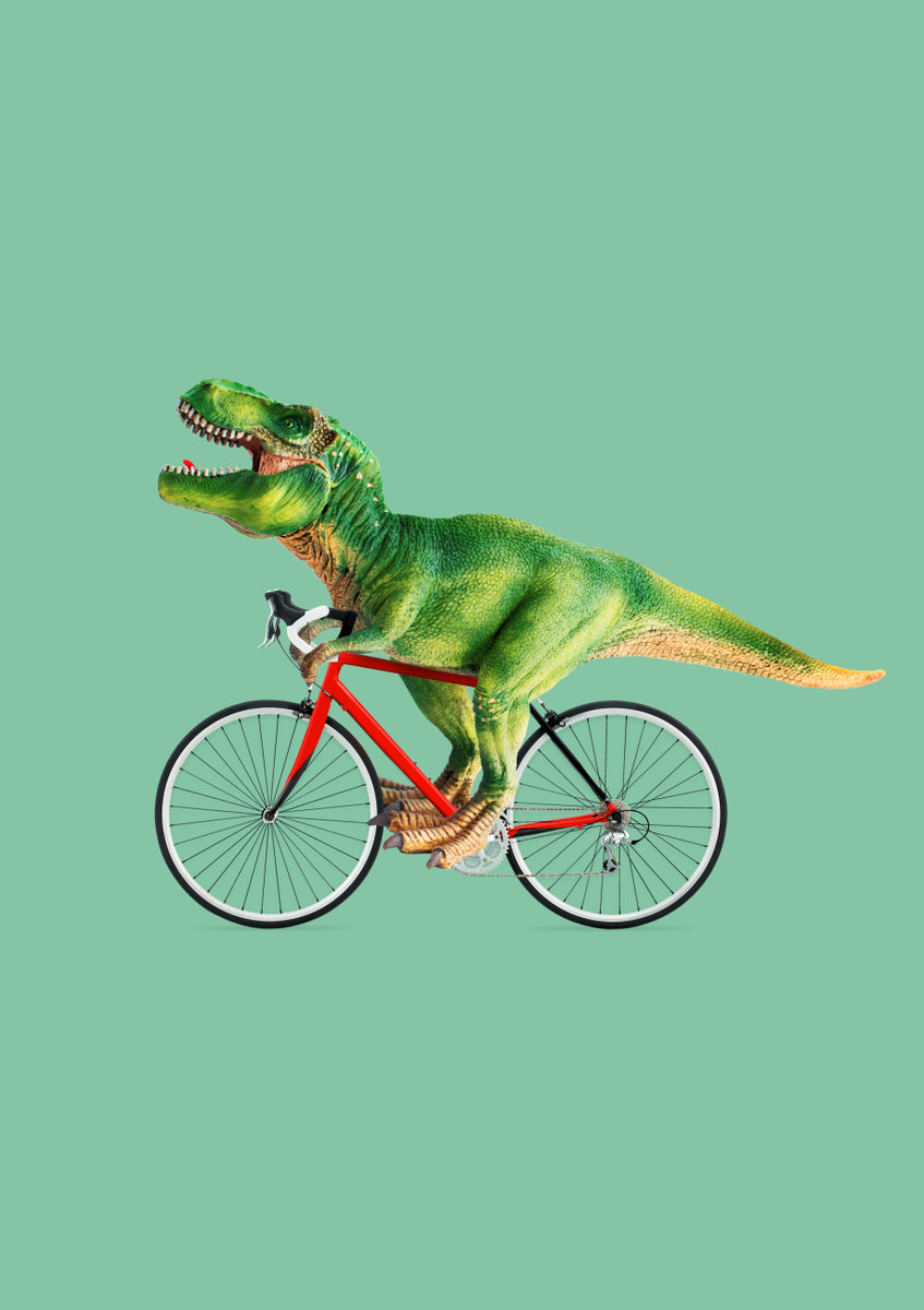 Quadro T-rex Bike