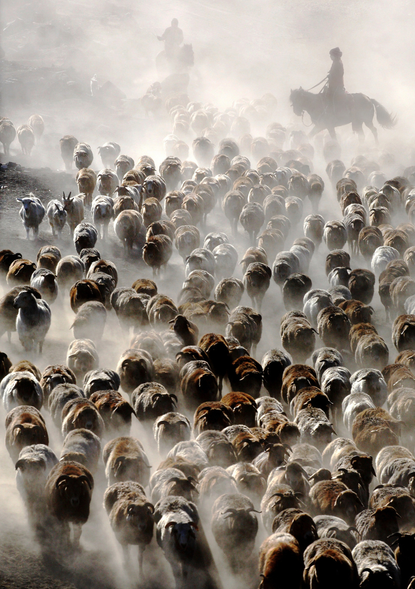 Quadro The Great Migration of China by Adam Wong