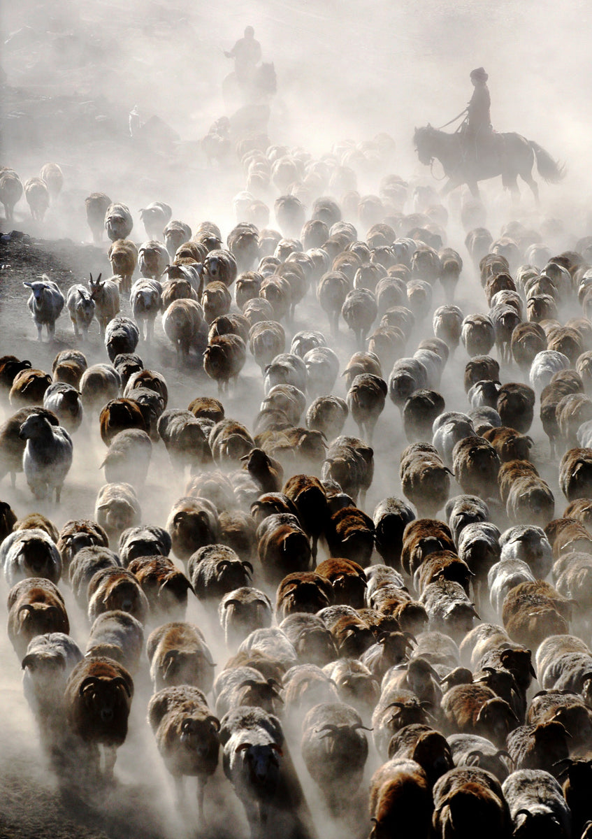 Quadro The Great Migration of China by Adam Wong