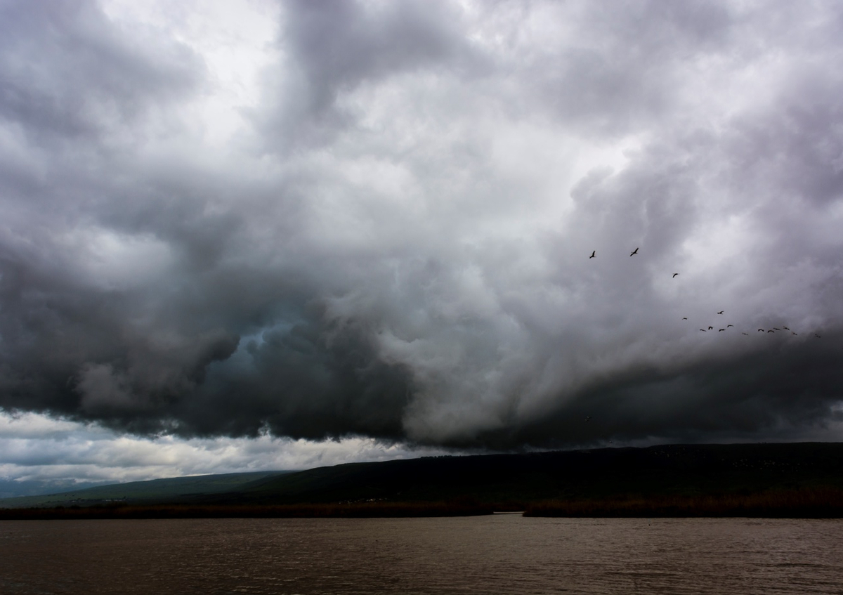 Quadro The Hula Valley #1