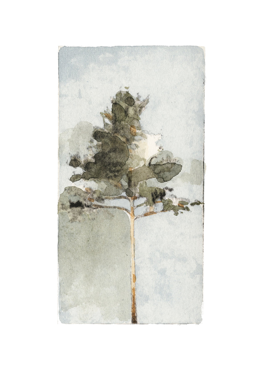 Quadro The Pine II