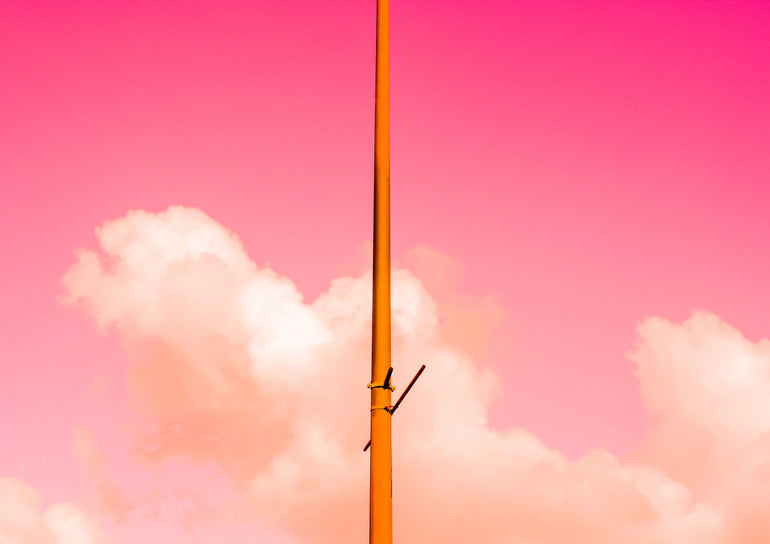 Quadro The Pink Half