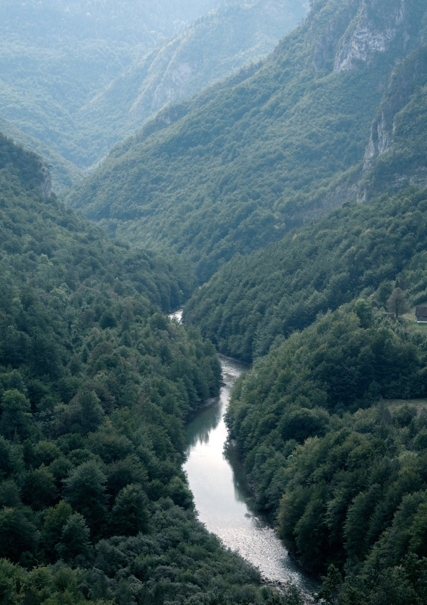 Quadro The River Through the Forest