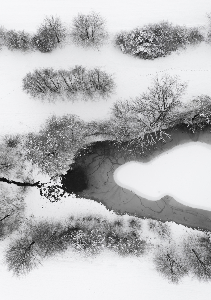 Quadro The Snowy Winter Wonderland Lake
