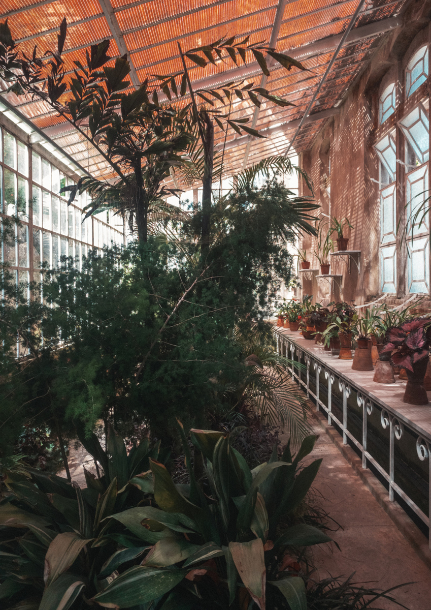 Quadro The Tropical Glasshouse III