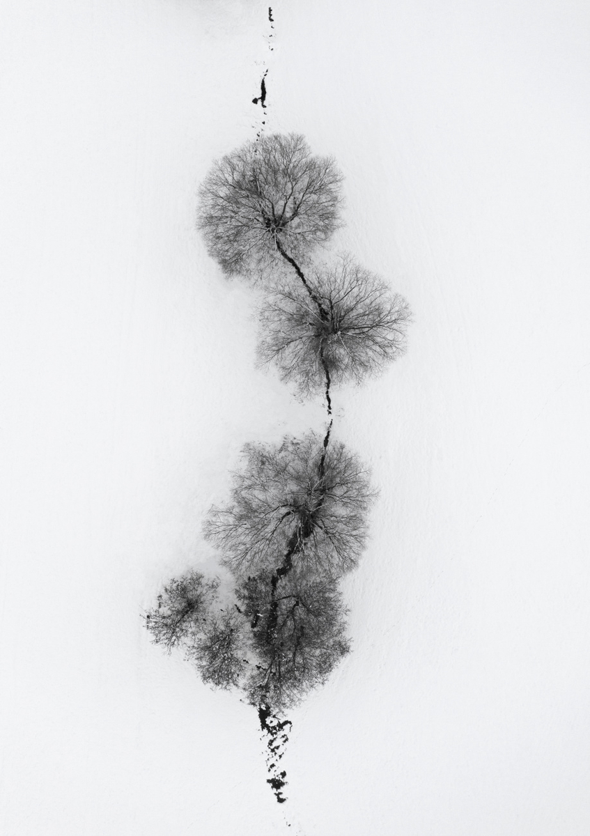 Quadro Trees At a Snowy Ice Stream