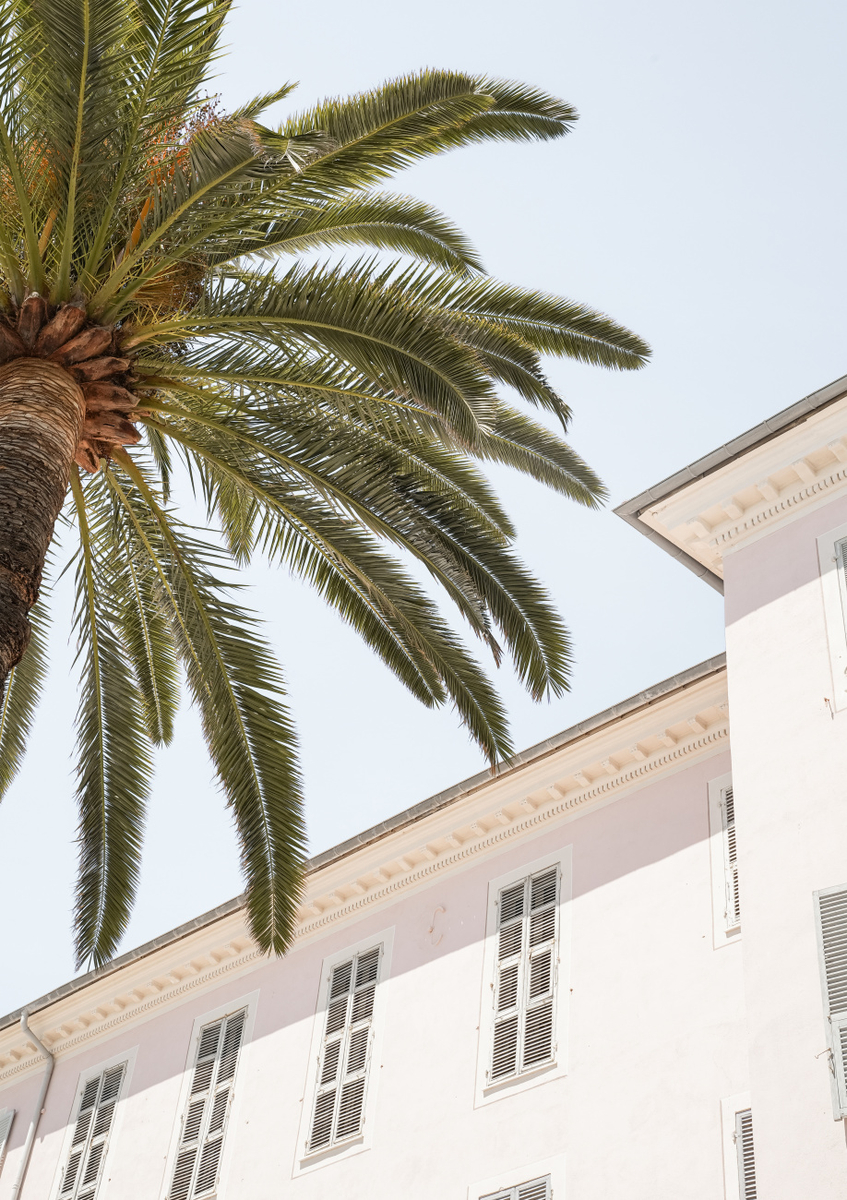 Quadro Tropical Menton