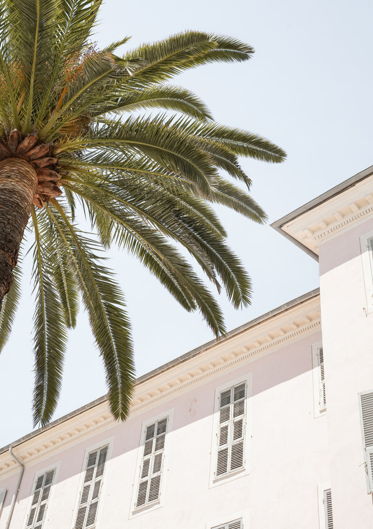 Quadro Tropical Menton