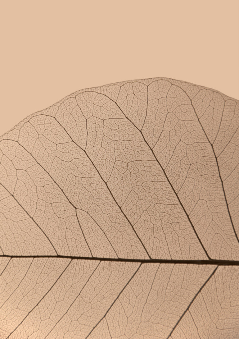 Quadro Veins of Life 3 Champagner Hues