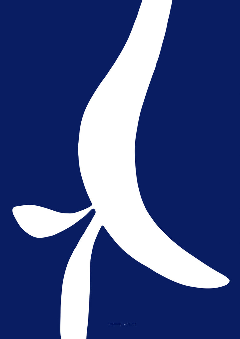 Quadro Whale Tails
