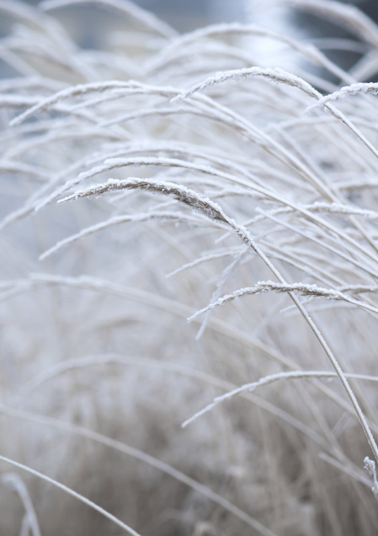 Quadro White Calm Fields