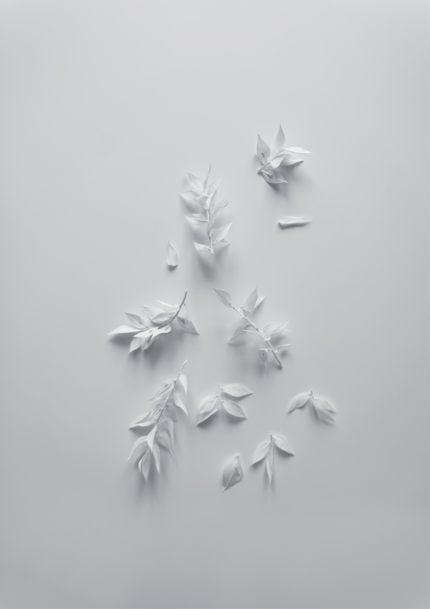 Quadro White Minimal Flowers