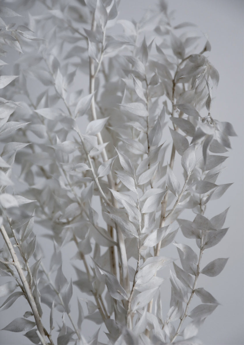 Quadro White Sunny Leafs