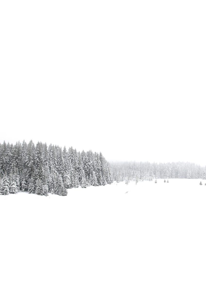Quadro White White Winter 1 of 2