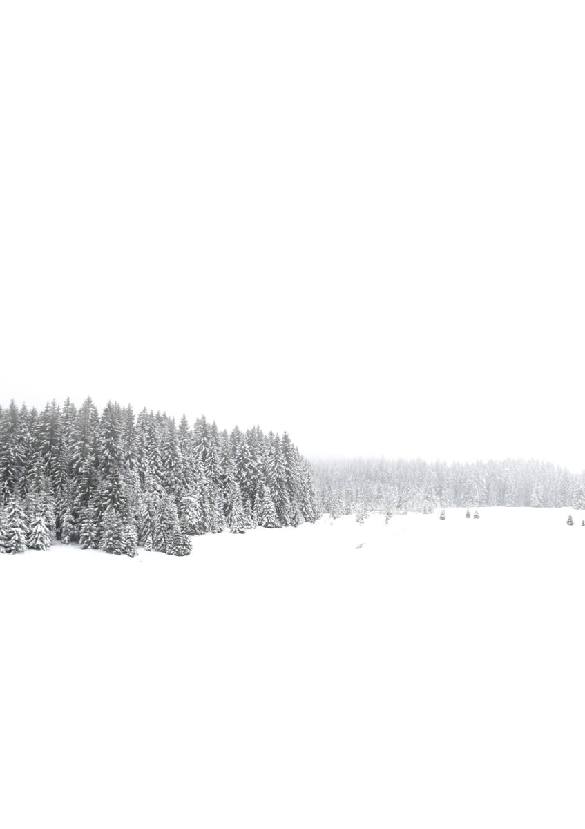 Quadro White White Winter 1 of 2