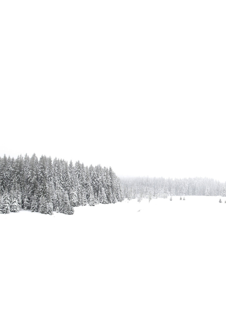 Quadro White White Winter 1 of 2