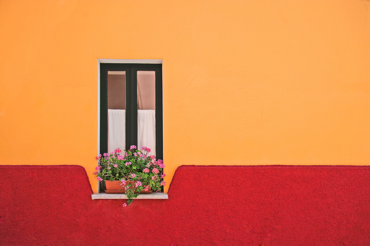 Quadro Window Flower