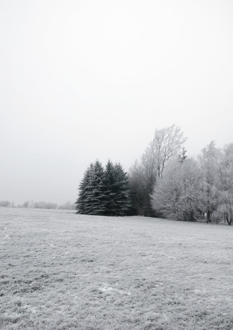 Quadro Winter Wonderland