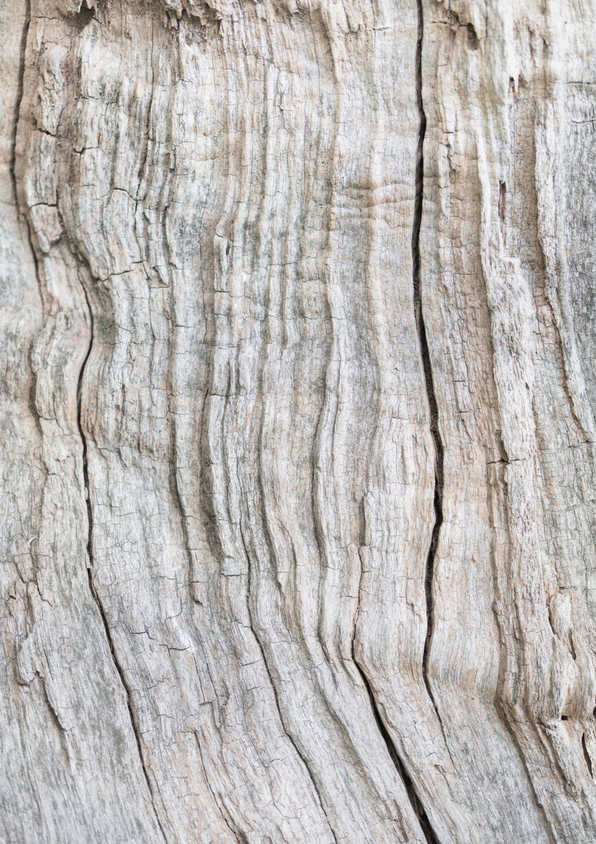 Quadro Wood Pattern By 1x Studio III
