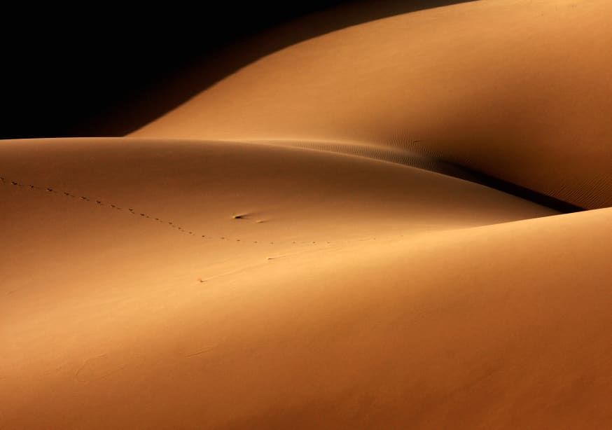 Quadro Desert and the Human Torso By Ebrahim Bakhtari Bonab - Obrah | Quadros e Posters para Transformar a Parede