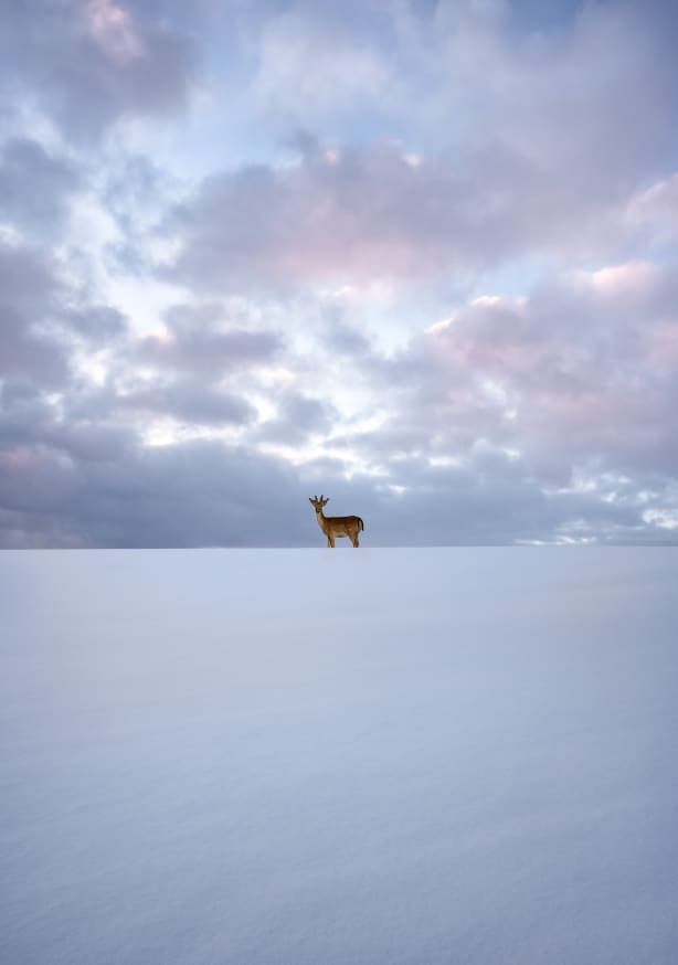 Quadro Alone By Christian Lindsten