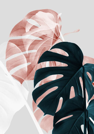 Quadro Monstera Creative 09 By 1x Studio