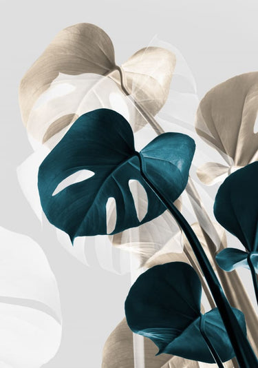 Quadro Monstera Creative 10 By 1x Studio