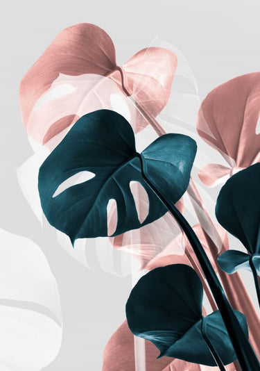 Quadro Monstera Creative 17 By 1x Studio