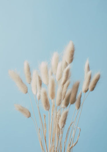 Quadro Bunny Grass no 3 By 1x Studio