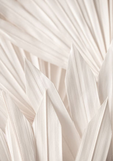Quadro Pattern By 1x Studio