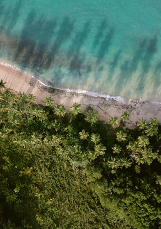 Quadro Palm Beach From Above