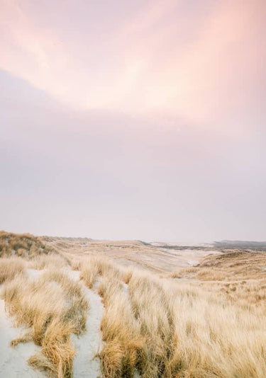 Quadro Ameland Dunes 1