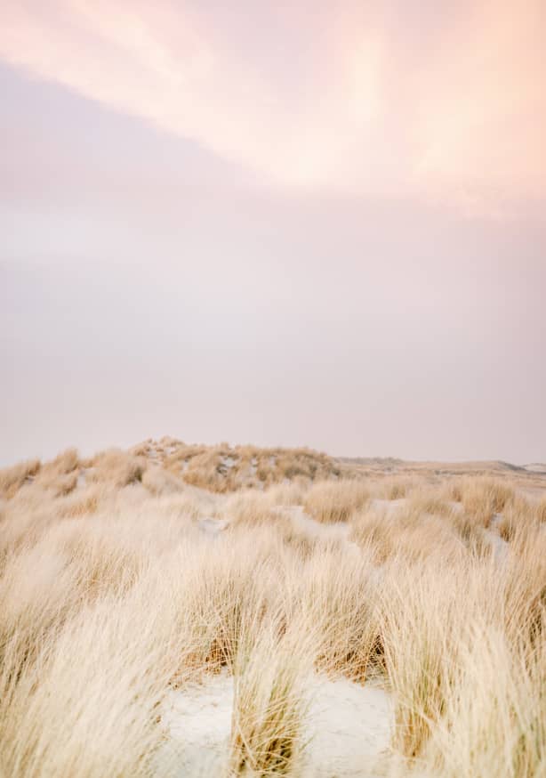 Quadro Ameland Dunes 2