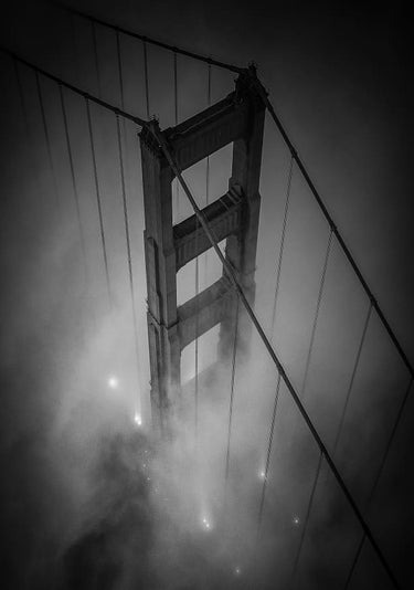 Quadro Golden Black By Toby Harriman