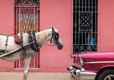 Quadro The Vintage By Ali Khataw